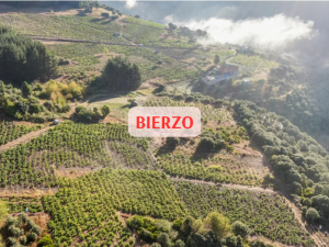 BIERZO (800 x 600 px)